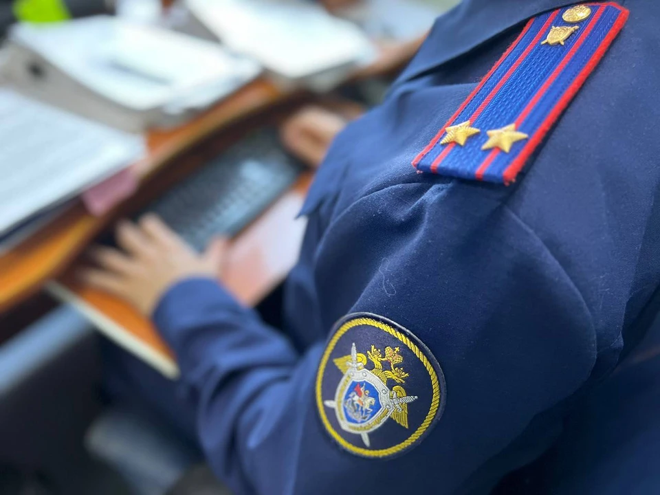 Фото: СК РФ по Саратовской области