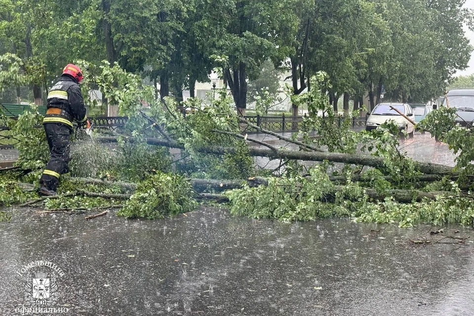 Сотрудники МЧС спасли аиста с поврежденным крылом в Минском районе. Фото: стоп-кадр | видео МЧС.