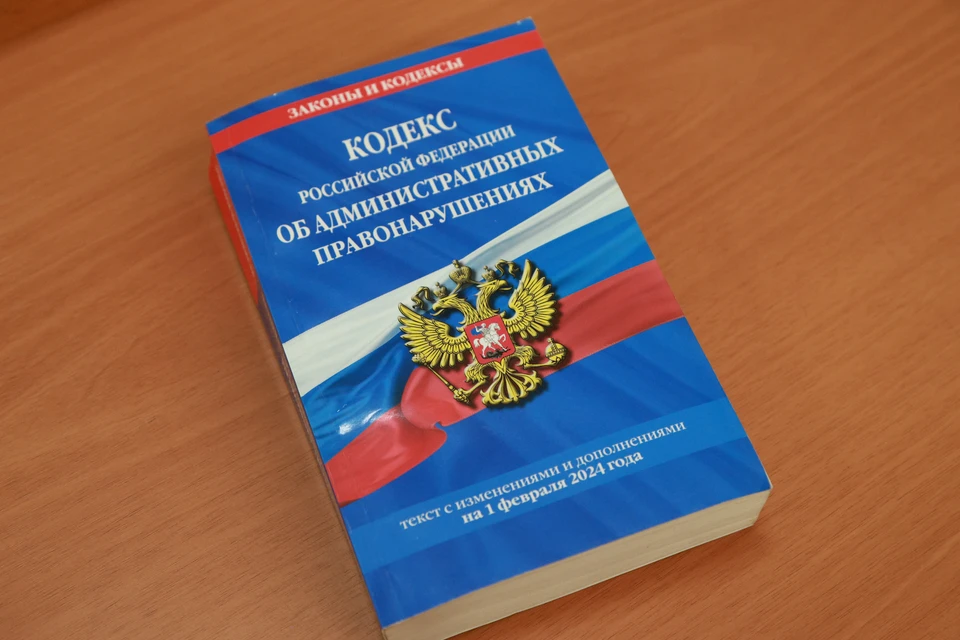 Среди прочего юристы смогут представлять интересы граждан в суде