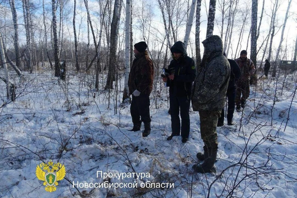 Троих новосибирцев будут судить за незаконную охоту на косуль. Фото: прокуратура Новосибирской области