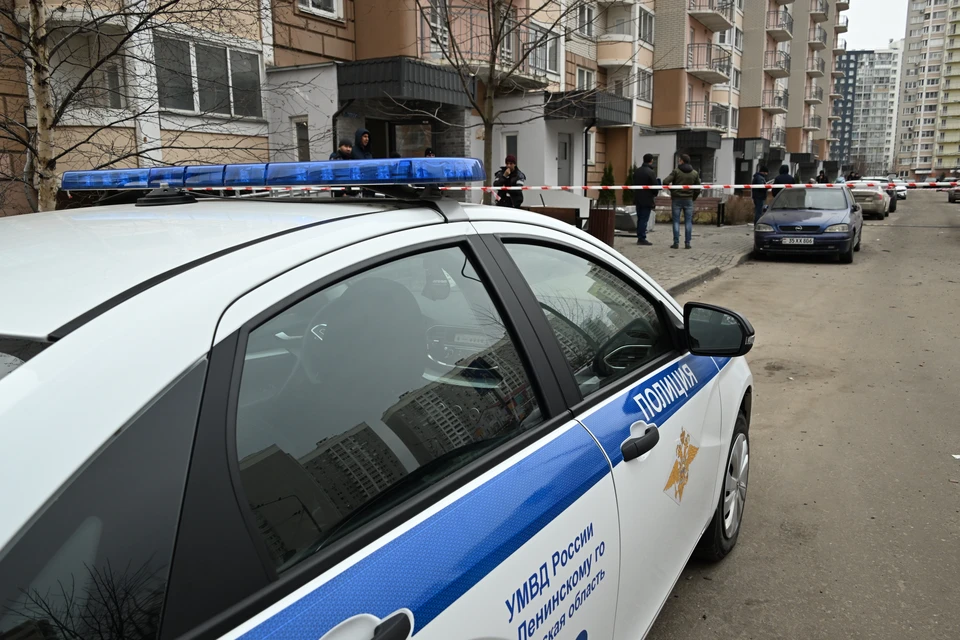 Трудный подросток надругался над 13-летней девочкой в Шушарах.