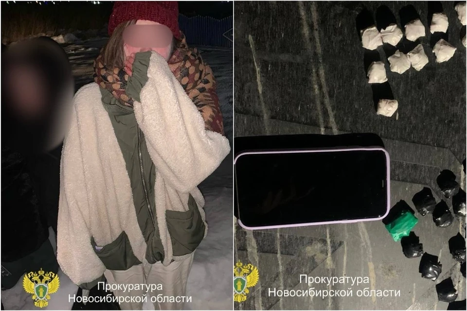 Жительница Татарска должна была разложить более 60 свертков с запрещенными веществами. Фото: Прокуратура по Новосибирской области.