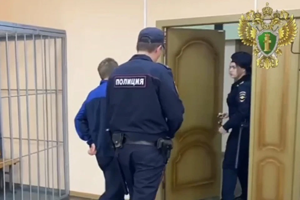 Обвиняемого взяли под стражу в зале суда. Фото: скриншот с видео