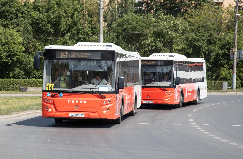 Дептранс рассказал, как будут ходить автобусы до кладбищ в Перми в Троицу 7 и 8 июня 2025.