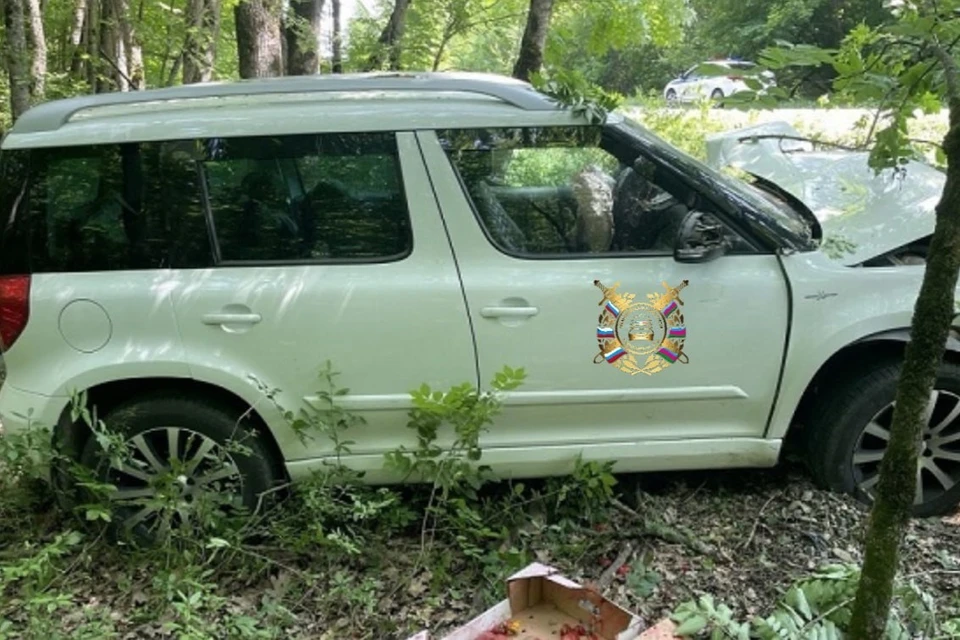 Женщина скончалась до приезда скорой помощи Фото: пресс-служба Госавтоинспекции Кубани