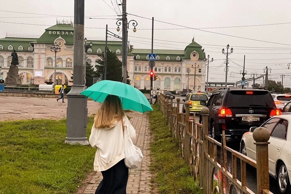 Небольшой дождь возможен в Хабаровске 6 июня