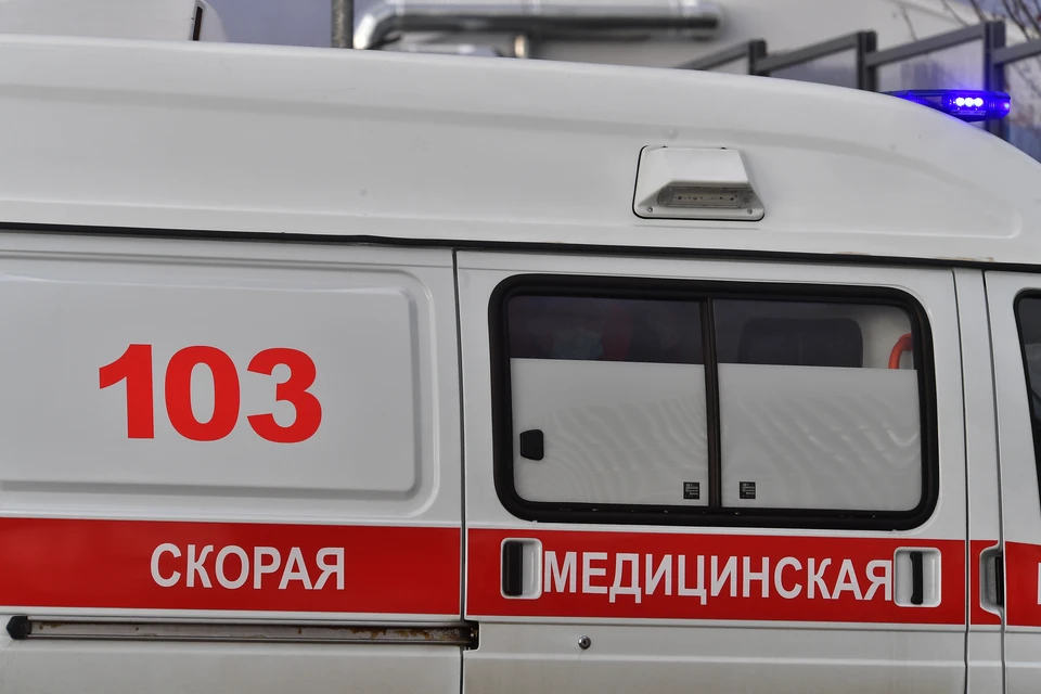 Тематическое фото.