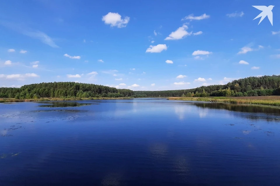Сказали, сколько мест массового отдыха определено в Беларуси на новый купальный сезон. Фото: архив «КП».