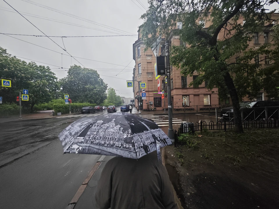 Местами ожидаются ливни.