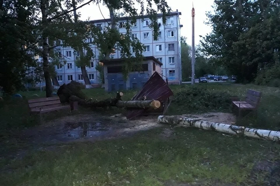 Фото: Надежда ПЕТРУНИНА.