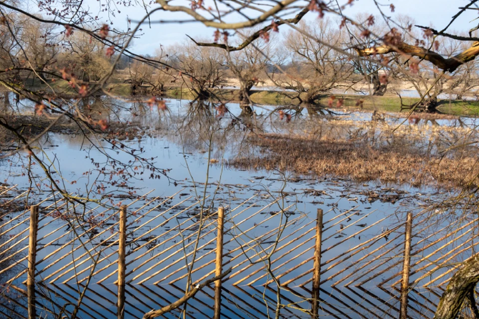 Уровни воды около населенных пунктов стали ниже критических отметок