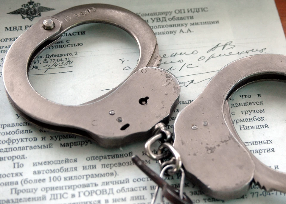 Житель Ульяновской области взят под стражу за убийство отца
