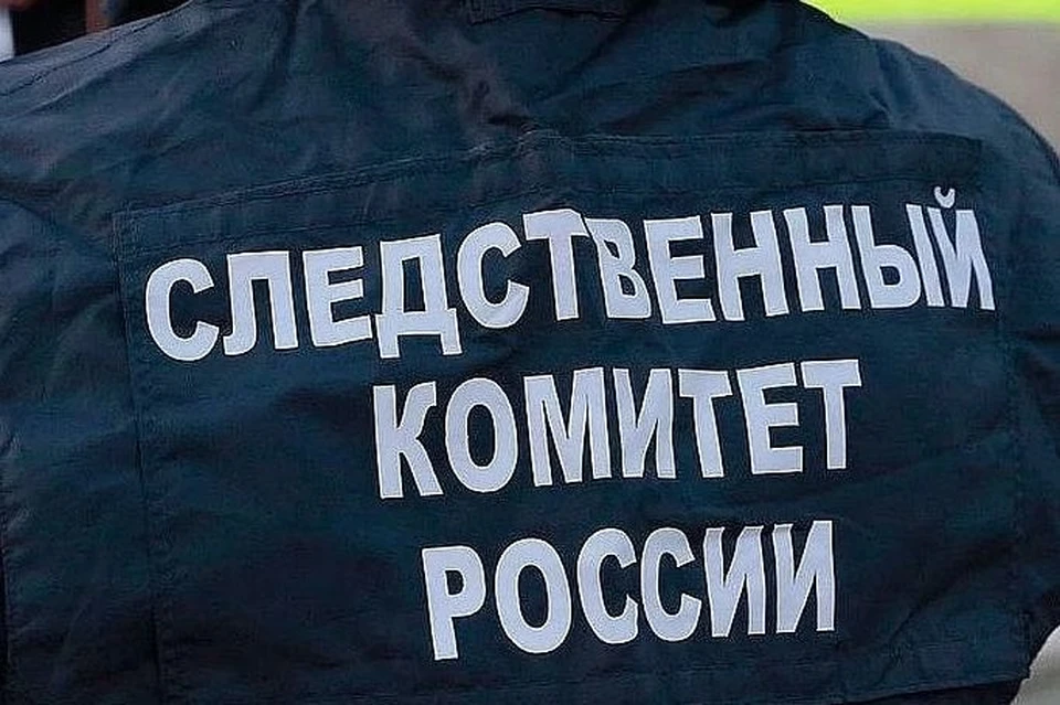 Бастрыкин поручил руководителю краевого управления Игорю Колесниченко возбудить уголовное дело и проверить работу органов профилактики