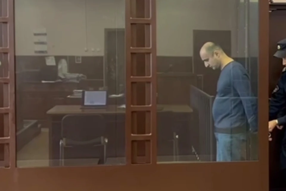 Муж получил 8 лет колонии за убийство жены в Шушарах. Фото: t.me/procspb