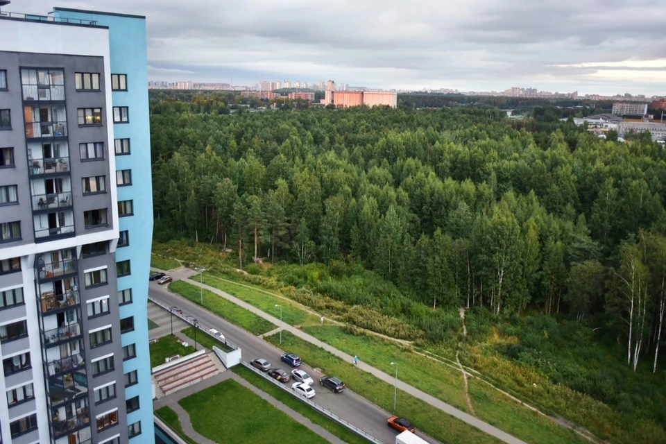 Шуваловский лес будет жить? Фото: vk.com/shuvalovskie_berega