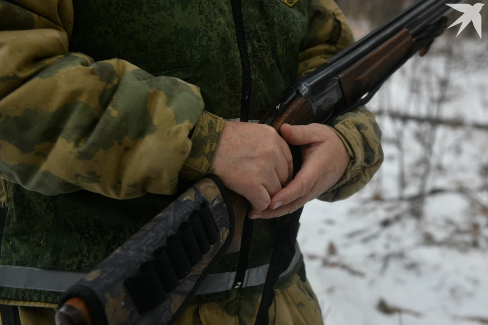 В охотничьих угодьях Ловозерского округа мужчина поймал 14 особей белощекой казарки.