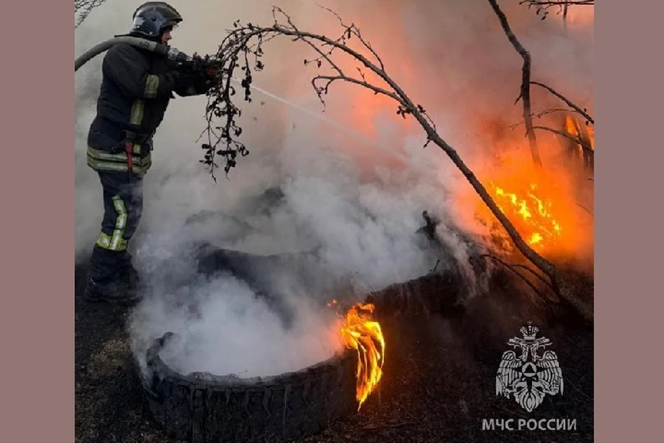 В Магадане ночью в лесу загорелись покрышки Фото: МЧС Магаданской области