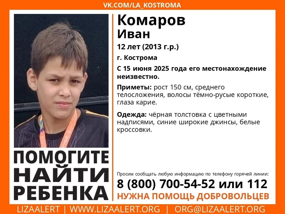 Фото: ДПСО "Лиза Алерт" Костромской области