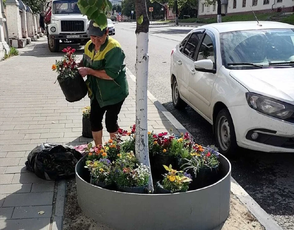 В Ульяновске на Ленина разместили 8 мобильных цветников. ФОТО: Центр по благоустройству и озеленению Ульяновска