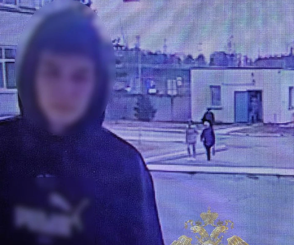 В Туле задержали обманувшего пенсионеров 19-летнего пособника мошенников