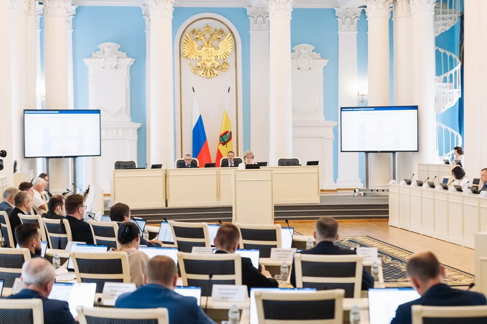 Публичные слушания по исполнению бюджета за 2024 год состоялись в Рязоблдуме.