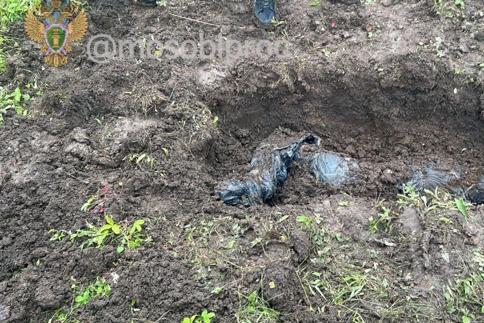 Тело девушки закопали в поле в Тульской области