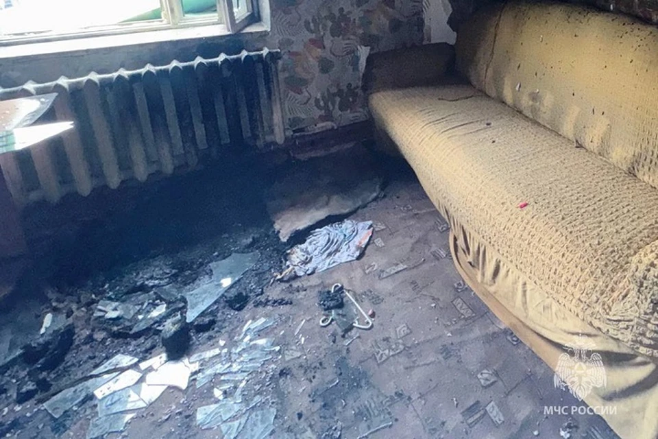 Девочка из ЕАО спасла брата из горящего дома Фото: МЧС ЕАО