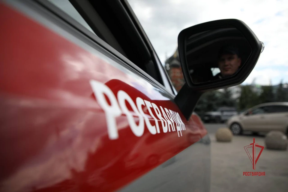 Три десятка правонарушений пресекли тульские росгвардейцы за неделю