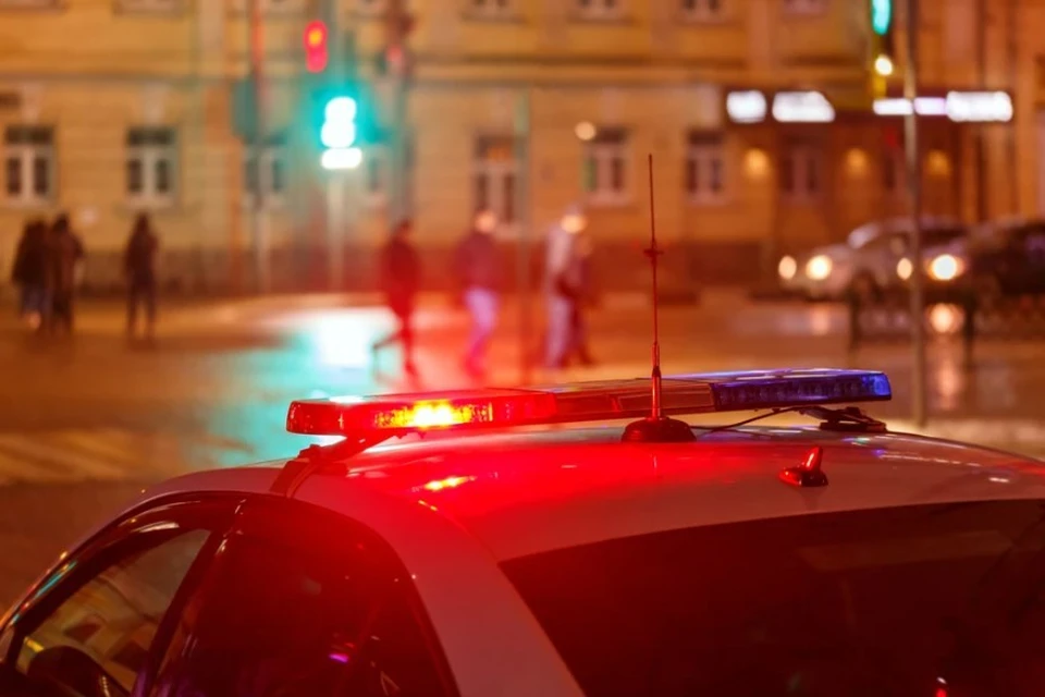 В Тульской области убили директора колледжа олимпийского резерва и его адвоката