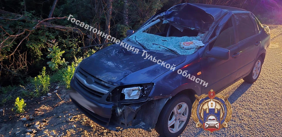 Легковушка сбила выскочившего на дорогу лося в Заокском районе Тульской области