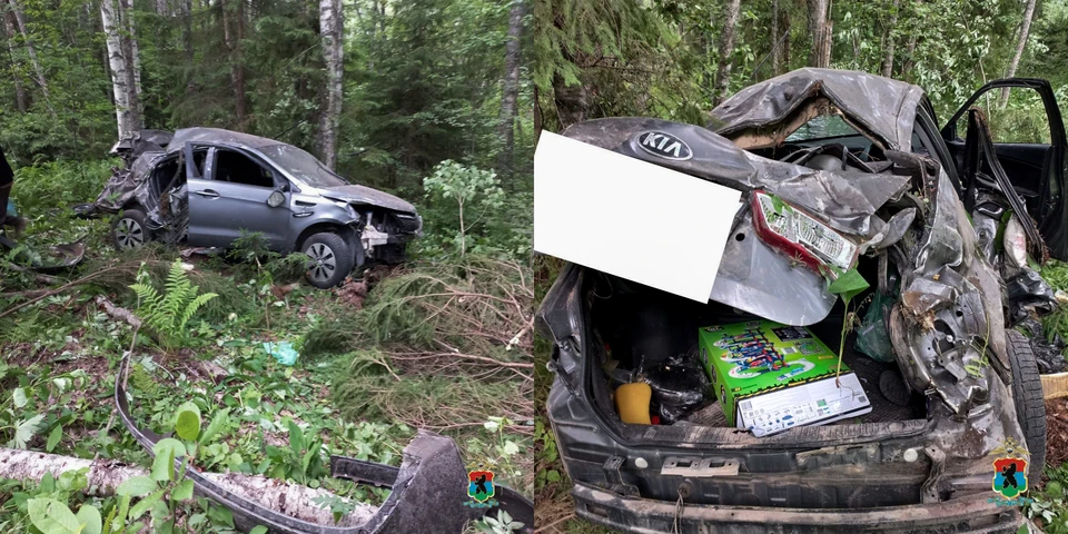 Семья ехала из Мурманска на отдых в Дагестан. Фото: t.me/Karelia_police