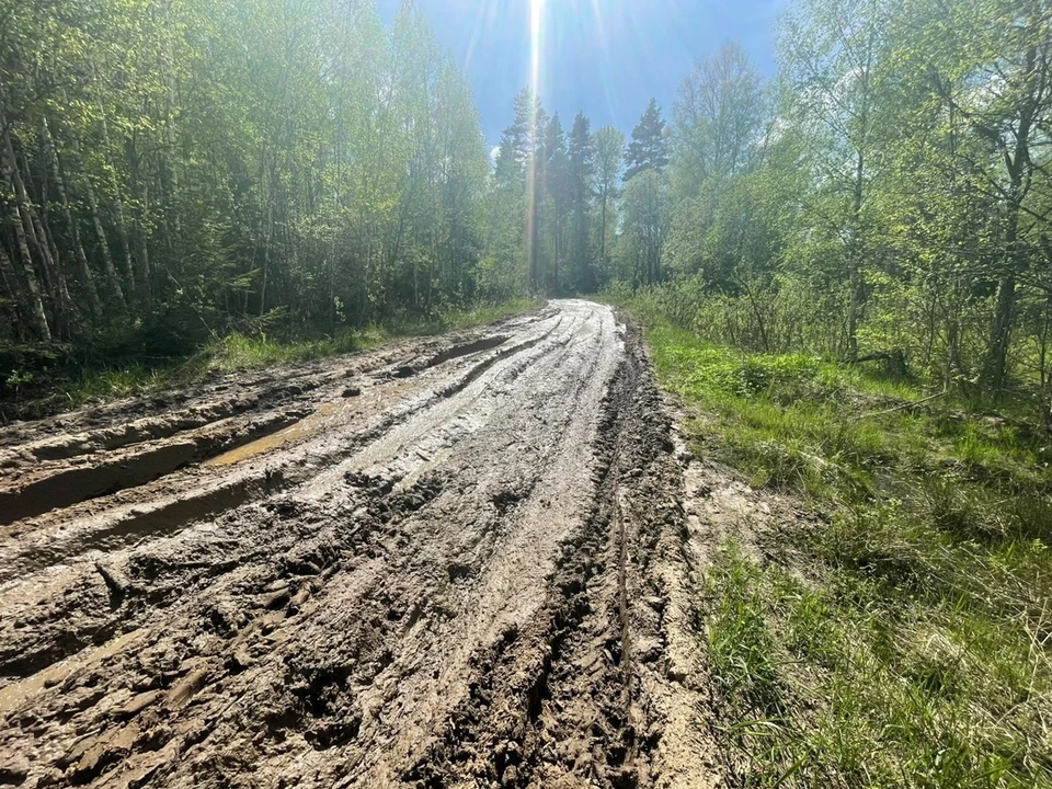 Фото: прокуратура Владимирской области