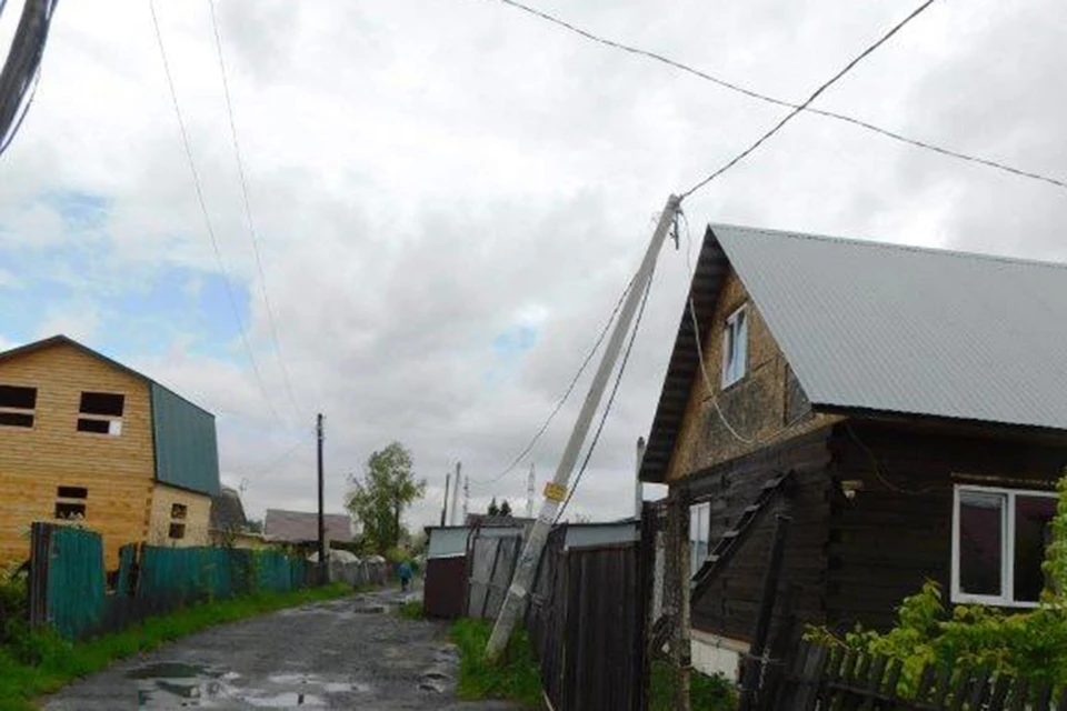 Фото: Пресс-служба «Россети Новосибирск»