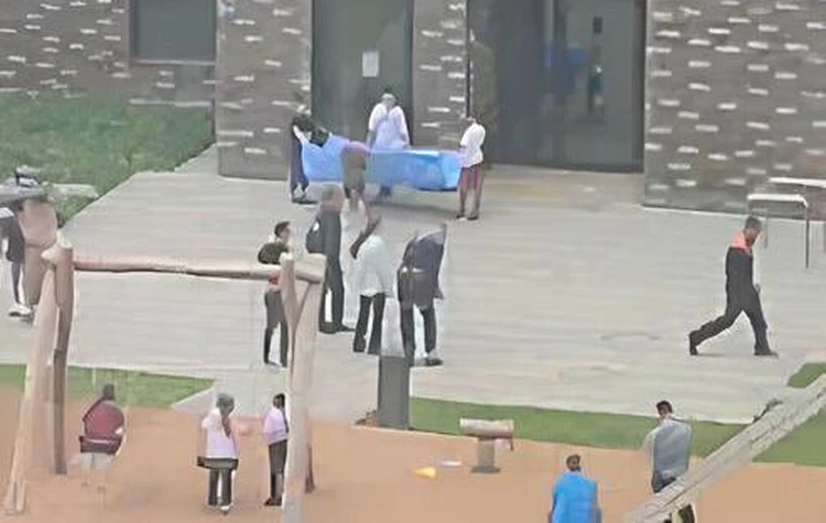 Установили автолестницу, дежурили внизу с покрывалом: как спасали собаку, упавшую с 12-го этажа высотки на Сахалине