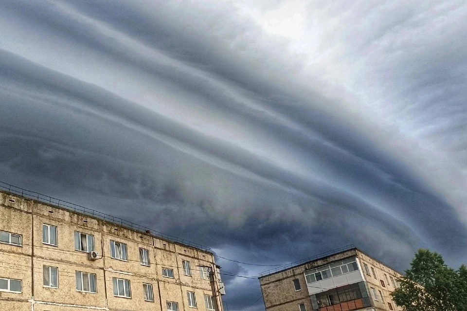 Фото предоставлено Региной Андреевной