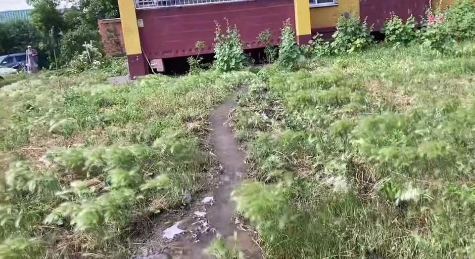 Фото: скриншот с видео vk.com/chp55
