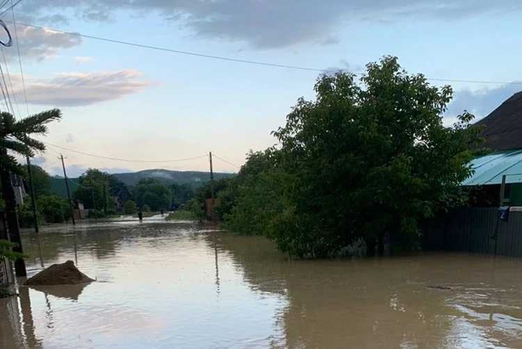Наводнение в Краснодарском крае 1 июля 2025: вода разбила дороги, затопило дома, введен режим ЧС