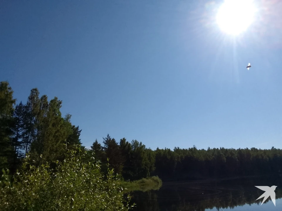 Погода в Калужской области порадует летним теплом.