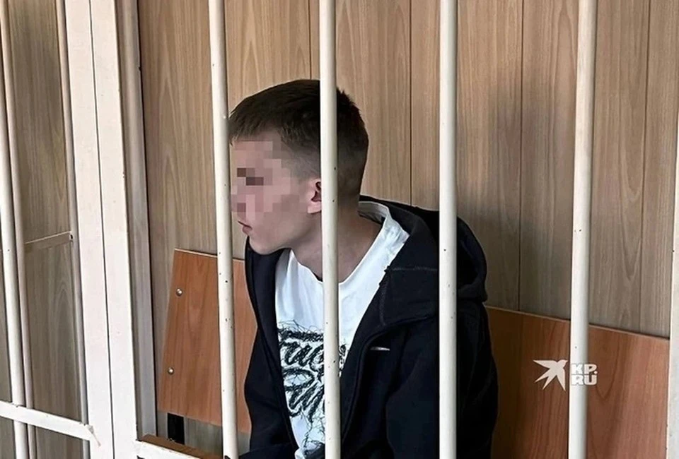 В Верхней Пышме судят школьника, жестоко избившего 12-летнюю девочку