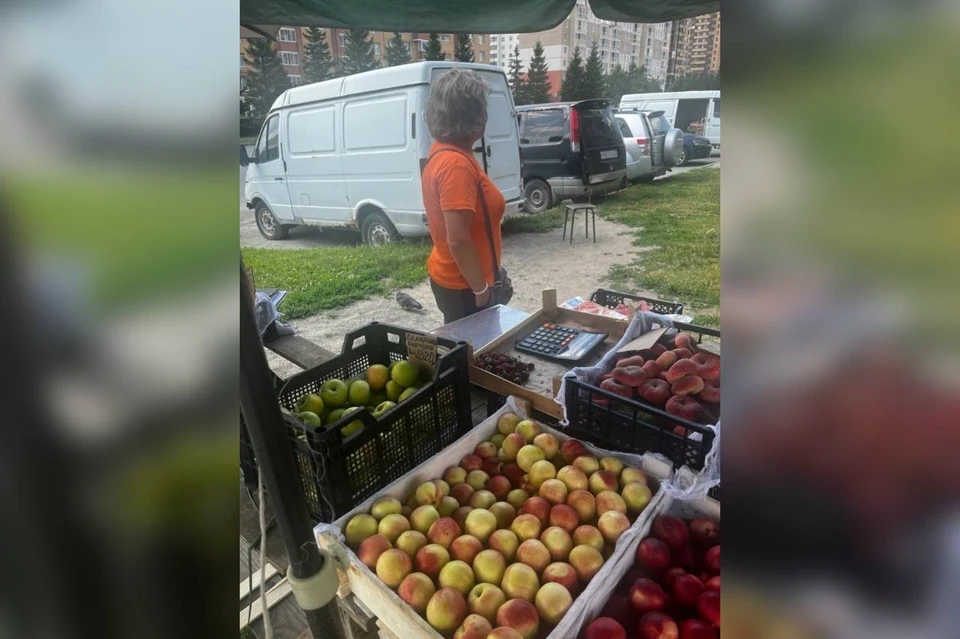 В Новосибирске у уличных торговцев изъяли более 100 кг овощей и фруктов. Фото: мэрия Новосибирска