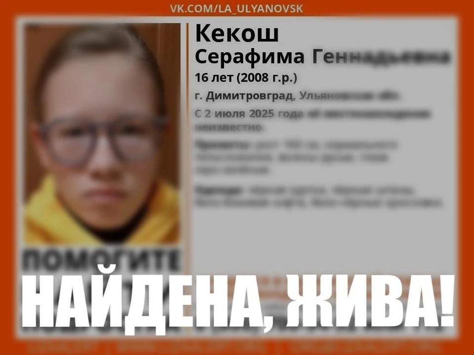 В Ульяновской области нашли пропавшего подростка. ФОТО: тг-канал ЛизаАлерт УО