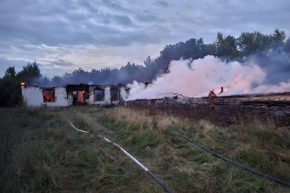 За сутки в Рязанской области произошло 5 пожаров. Фото: МЧС Рязанской области.