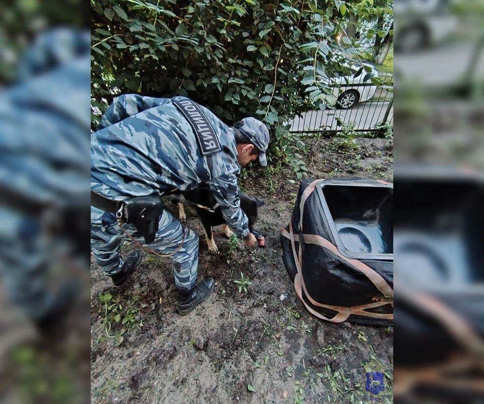 Найденные предметы не представляют опасности.