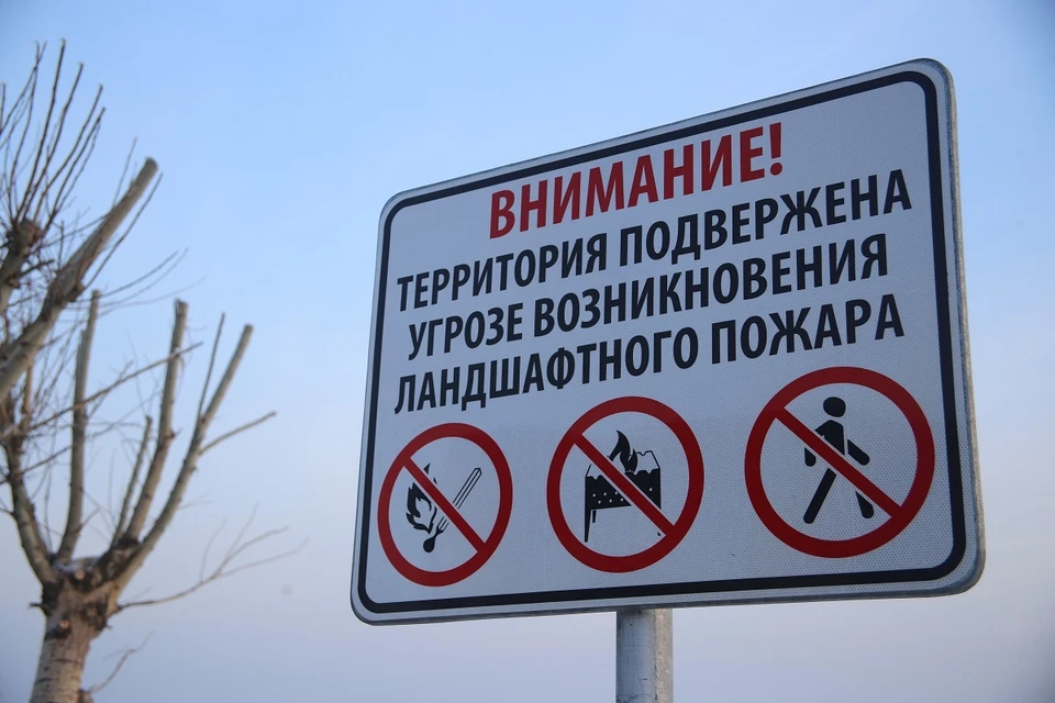 В Ермаковском и Шушенском муниципальных округах введён режим ЧС, действует запрет на посещение лесов и разведение огня