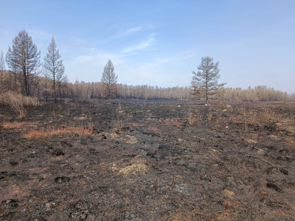 Чрезвычайную пожароопасность пятого класса объявили на Ставрополье