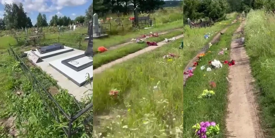 Фото: скриншот с видео телеграм-канала «Омский новостной поезд»