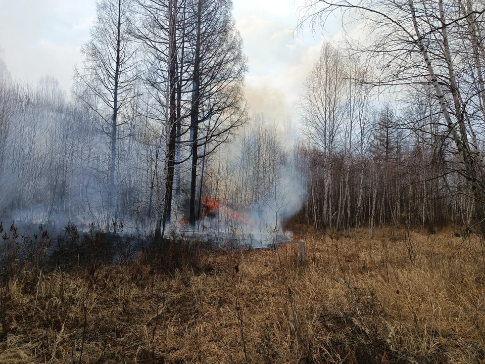 Чрезвычайную пожароопасность пятого класса продлили на Ставрополье