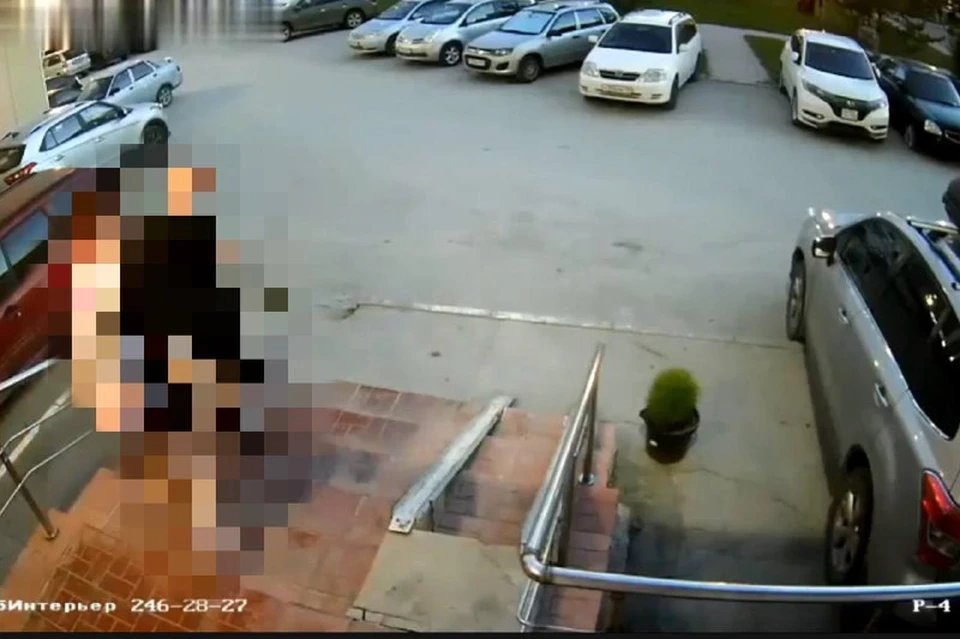Пара новосибирцев украла цветок во дворе дома. Фото: скриншот с камер видеонаблюдения