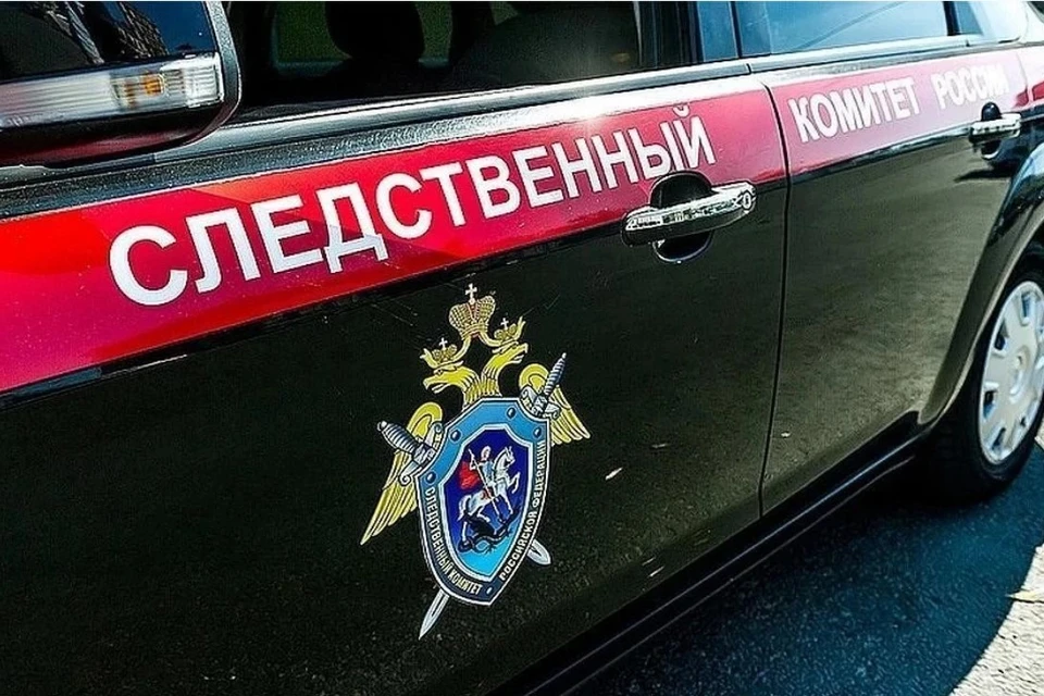 Следком устанавливает все обстоятельства произошедшего