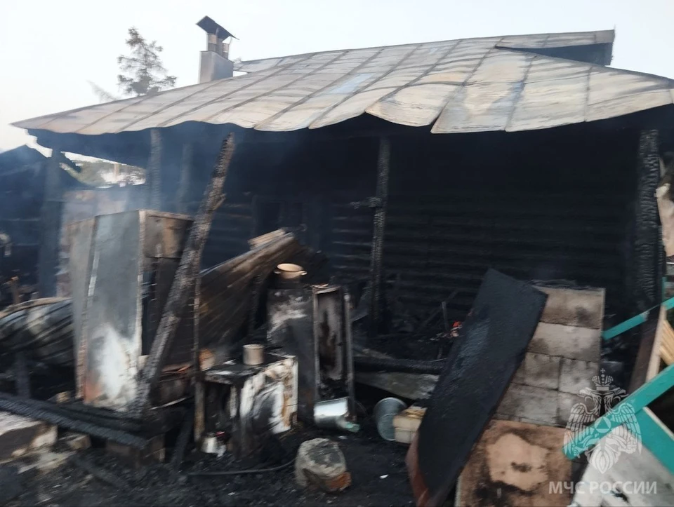 Мужчина и мальчик погибли на пожаре в селе Яново.